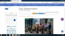 Красная гвоздика 2018г.